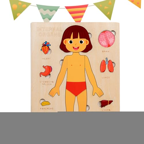 Kinder Anatomie Spielzeug | Holz Lernspielzeug Menschliche Körperteile,Wissenschaftliches Spielzeug Für Kleinkinder Und Kinder Mädchen Kindergarten Schule Unterricht von Generisch
