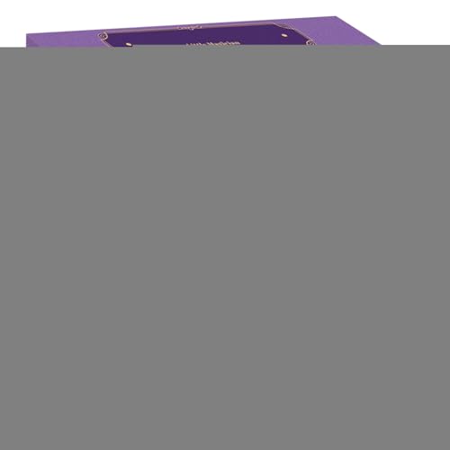 Kinder Zaubertrank Set | Magisches Bastelset mit Fläschchen,Interaktive Partydekoration Für Halloween Weihnachten Indoor Zuhause Kleinkinder Mädchen Kinder Zaubertrank Set | Magisches Bastelset mit Fläschchen,Interaktive Partydekoration Für Halloween Weihnachten Indoor Zuhause Kleinkinder Mädchen von Generisch