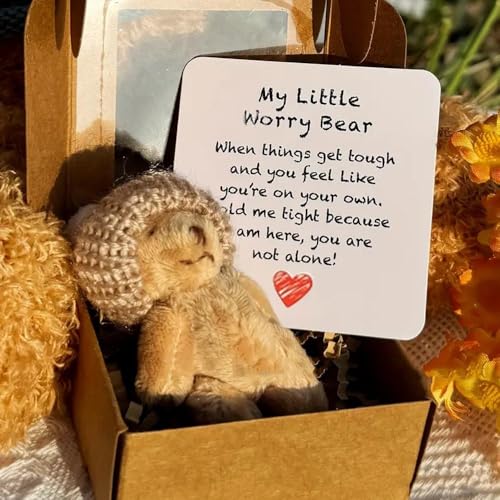 Kleiner Bär in Box, handgefertigter Mini-Plüsch-Teddybär in Box, Meine kleinen Sorgenbären, mit inspirierender Karte, weiches handgefertigtes Teddy-Andenken für Verliebte (Braun) von Generisch