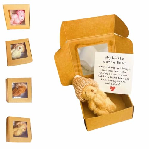 Kleiner Bär in Box,Sorgenbär,Plüsch kleine mit inspirierender Karte,Emotionale Unterstützung Häkelbärchen Spielzeug,Taschenbären,Motivationsgeschenk für Liebhaber und Freunde (Braun) von Generisch