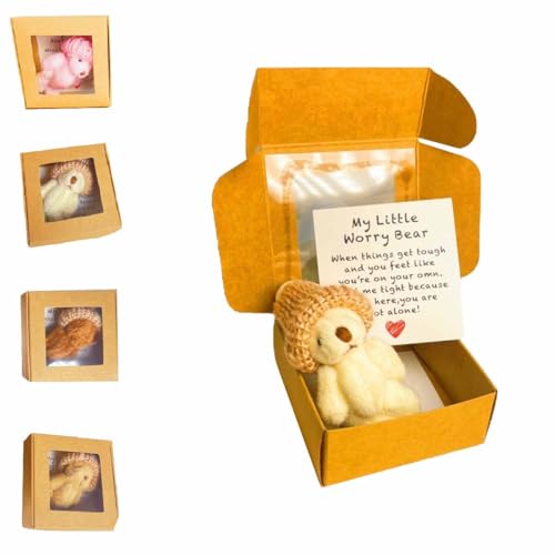 Kleiner Bär in Box,Sorgenbär,Plüsch kleine mit inspirierender Karte,Emotionale Unterstützung Häkelbärchen Spielzeug,Taschenbären,Motivationsgeschenk für Liebhaber und Freunde (Weiß) von Generisch