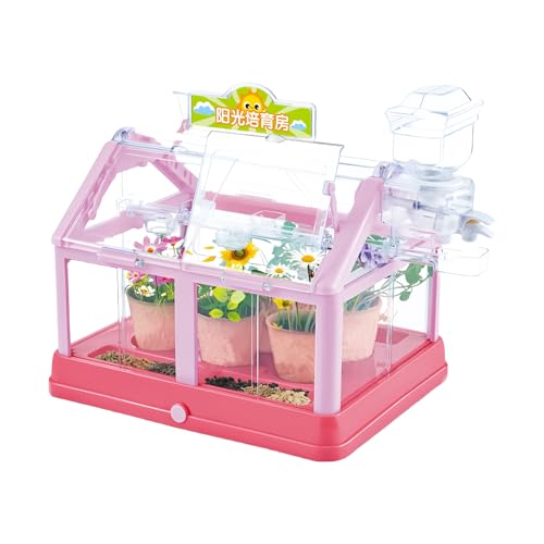 Kleines Experimentelles Spielzeug, Lustiges Und Pädagogisches STEM -Kit, 37x23x28 Cm, Kinderpflanzenanbau Kit, Blumengartenspielzeug, Kreatives Und Engagiertes Spiel, Für Jugendliche, Mädchen, Jugendl von Generisch