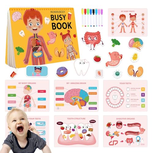 Körperbeschäftigtes Buch, menschliches Körperbuchbuch für Kinder, Interaktive Aktivitäten im Vorschullerlernen, Anatomiebuch für Kinder mit verschiedenen Teilen des Body Educational-Lernens sensorisch Körperbeschäftigtes Buch, menschliches Körperbuchbuch für Kinder, Interaktive Aktivitäten im Vorschullerlernen, Anatomiebuch für Kinder mit verschiedenen Teilen des Body Educational-Lernens sensorisch von Generisch