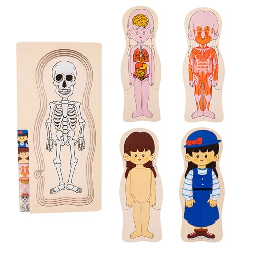 Körperpuzzle - Menschliches Anatomiespielzeug | Interaktives Lernmodell Mit Körperteilen | Bildungssäge | STEM -Aktivitätsspiel Für Klassenzimmer Nach Hause | Fun Science Gift Für Mädchen Frühe von Generisch