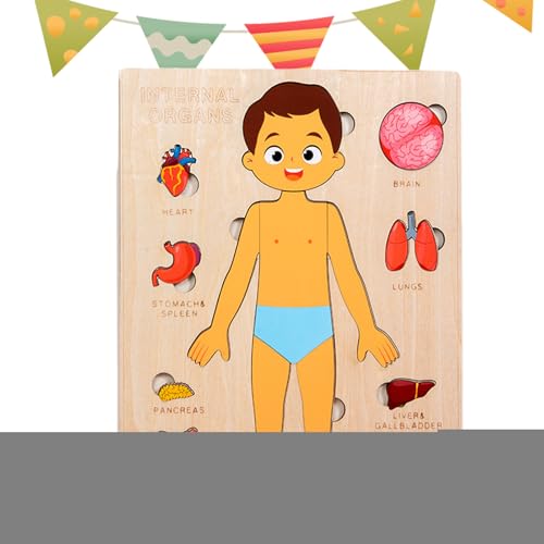 Körperteile Für Kinder - Holz Lernpuzzle Körper | Wissenschaftliches Spielzeug Für Kleinkinder Und Kinder Mädchen Kindergarten Schule Unterricht von Generisch