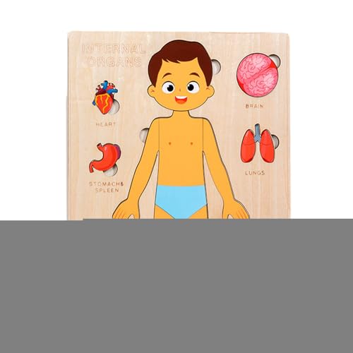 Körperteile Für Kinder | Pädagogisches Holzpuzzle Vom Menschlichen Körper,Kleinkinder Reisespielzeug Für Schule Jugendliche Studenten Kinder Bildung Lernen von Generisch
