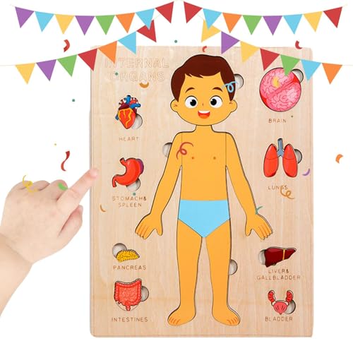 Körperteile Für Kinder - Pädagogisches Holzpuzzle Vom Menschlichen Körper | Entwicklungsspielzeug Für Kinder Im Krankenhaus Für Mädchen Jugendliche Studenten Und Kleinkinder In Körperteile Für Kinder - Pädagogisches Holzpuzzle Vom Menschlichen Körper | Entwicklungsspielzeug Für Kinder Im Krankenhaus Für Mädchen Jugendliche Studenten Und Kleinkinder In von Generisch