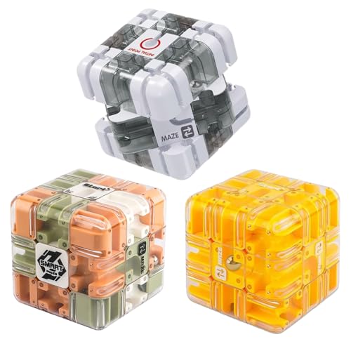 Large Labyrinth 3D Maze Cube, Logical Challenge 3x3 Maze Puzzle Cube, Engaging Brain Teaser, Spatial Awareness Brain Training Toy (Family-B) von Generisch
