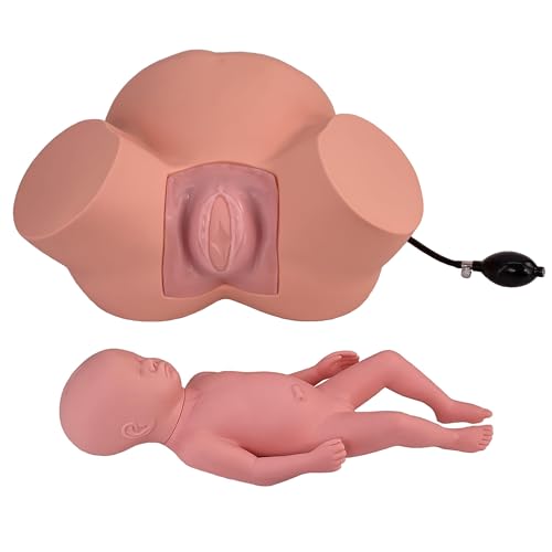 Lebensgroßes Kind Geburt Simulator Modell Dystokie Arbeit & Lieferung Lehrmodell mit verstellbarer aufblasbarer Tasche zum Einstellen der Breite des Beckens für Geburtshilfe Gynäkologie Training von Generisch