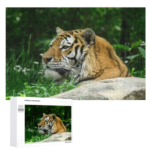 Lindenholz 1000 Teile Tiger Puzzle für Stressabbau und Home Display von Generisch