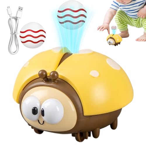 Marienkäfer Schwebender Ball Spielzeug | Marienkäfer Fliegender Ball Spiel | Elektrisches Schwebendes Pusteball Sensorik Spielzeug | Lustige Interaktive Spielbälle Pustemaschine Tieren für Kinder von Generisch