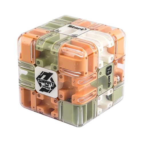 Maze Cube | Training 3D Labyrinth Toys | Sensory Maze Cube Game | for Birthday Party Favor Kids Teen Classroom Adult Preschool School Stocking Stuffers Boys von Generisch