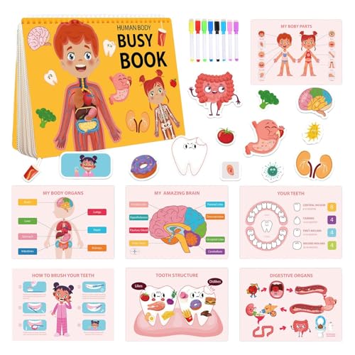 Menschlicher Körperbuchbuch , menschlicher Körperbuchbuch, Homeschool -Lernaktivitäten, Vorschule Anatomie Buch Kid Play Set, Sicherheitspädagogik menschliches Körper Lernspielzeug für Kinder im Alter Menschlicher Körperbuchbuch , menschlicher Körperbuchbuch, Homeschool -Lernaktivitäten, Vorschule Anatomie Buch Kid Play Set, Sicherheitspädagogik menschliches Körper Lernspielzeug für Kinder im Alter von Generisch