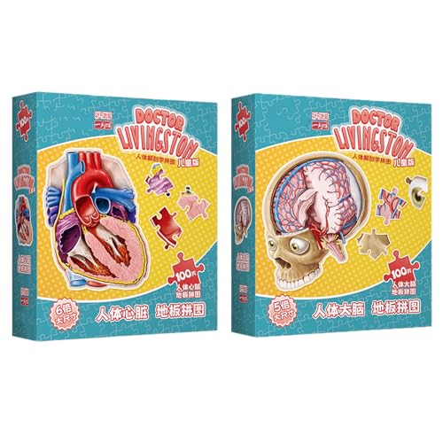 Menschliches Gehirn -Rätsel, 100 Stück, das menschliches Gehirn Rätsel lehnt, Puzzle für das menschliche Körpermodell für Kinder, Anatomie -Modell Bildungspulting, Schülerlernwerkzeug für Schüler von Generisch