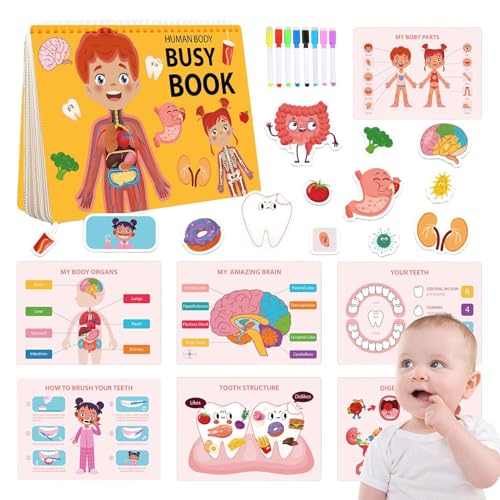 Menschliches Körper Anatomie Buch für Kinder, menschliches Körperbuchbuch - Kindergärtner -Lernaktivitäten im Vorschulalter | Anatomiebuch für Kinder mit verschiedenen Teilen des Body Educational-Lern Menschliches Körper Anatomie Buch für Kinder, menschliches Körperbuchbuch - Kindergärtner -Lernaktivitäten im Vorschulalter | Anatomiebuch für Kinder mit verschiedenen Teilen des Body Educational-Lern von Generisch