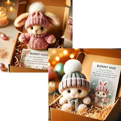 Mini Bunny Hug Cute Easter Gift, Crochet Mini Rabbit Hug with Knitted Hat and Pom Pom,Bunny Stuffed Animal Sets with Box and Sweet Card,Handmade Emotional Support Positive Bunny (2PCS-C) von Generisch