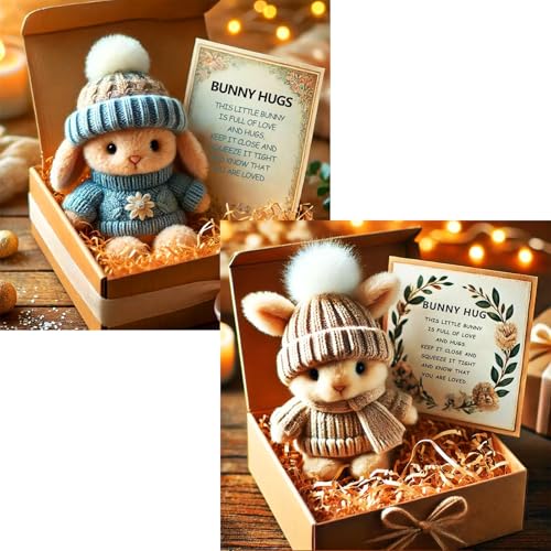 Mini Bunny Hug Cute Easter Gift, Crochet Mini Rabbit Hug with Knitted Hat and Pom Pom,Bunny Stuffed Animal Sets with Box and Sweet Card,Handmade Emotional Support Positive Bunny (2PCS-D) von Generisch