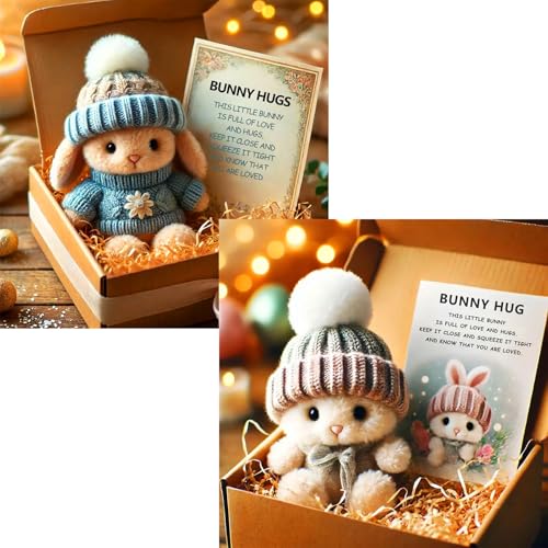 Mini Bunny Hug Cute Easter Gift, Crochet Mini Rabbit Hug with Knitted Hat and Pom Pom,Bunny Stuffed Animal Sets with Box and Sweet Card,Handmade Emotional Support Positive Bunny (2PCS-E) von Generisch