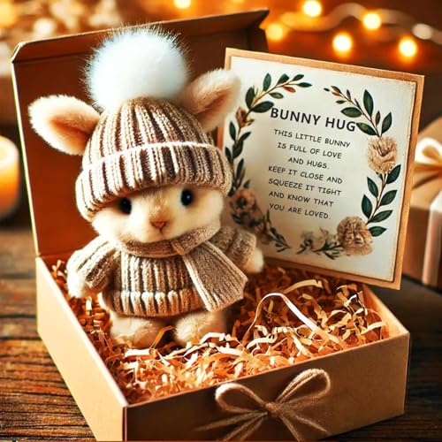 Mini Bunny Hug Cute Easter Gift, Crochet Mini Rabbit Hug with Knitted Hat and Pom Pom,Bunny Stuffed Animal Sets with Box and Sweet Card,Handmade Emotional Support Positive Bunny (Color C) von Generisch