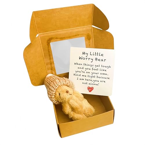 Mini-Plüsch-Teddybär in Box, weiche, kleine Stoffpuppe, Mini-Plüschbär mit inspirierender Karte, Taschenbär-Umarmung in Einer Box für Verliebte, Geburtstag, Valentinstag (#Brown) von Generisch