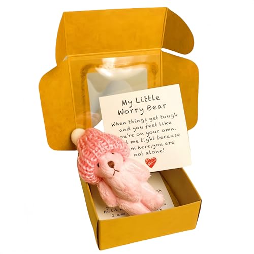Mini-Plüsch-Teddybär in Box, weiche, kleine Stoffpuppe, Mini-Plüschbär mit inspirierender Karte, Taschenbär-Umarmung in Einer Box für Verliebte, Geburtstag, Valentinstag (#Pink) von Generisch