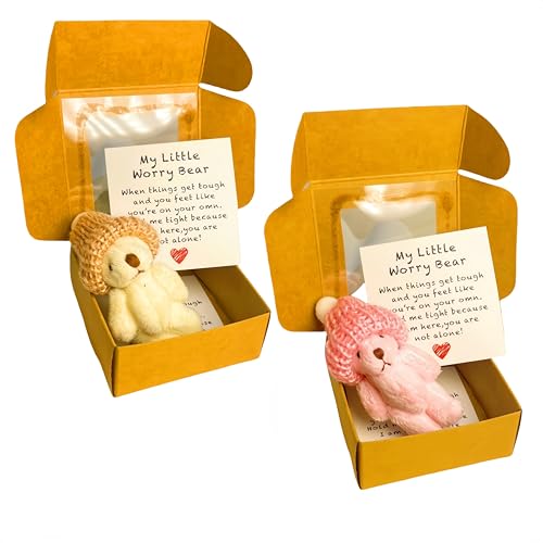 Mini-Plüsch-Teddybär in Box, weiche, kleine Stoffpuppe, Mini-Plüschbär mit inspirierender Karte, Taschenbär-Umarmung in Einer Box für Verliebte, Geburtstag, Valentinstag (2STÜCK-1) von Generisch