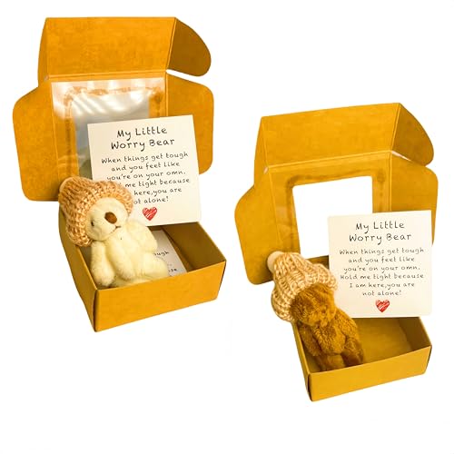 Mini-Plüsch-Teddybär in Box, weiche, kleine Stoffpuppe, Mini-Plüschbär mit inspirierender Karte, Taschenbär-Umarmung in Einer Box für Verliebte, Geburtstag, Valentinstag (2STÜCK-2) von Generisch