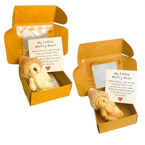 Mini-Plüsch-Teddybär in Box, weiche, kleine Stoffpuppe, Mini-Plüschbär mit inspirierender Karte, Taschenbär-Umarmung in Einer Box für Verliebte, Geburtstag, Valentinstag (2STÜCK-3) von Generisch