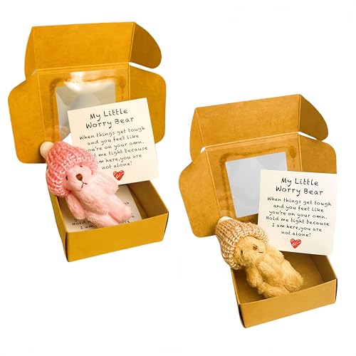 Mini-Plüsch-Teddybär in Box, weiche, kleine Stoffpuppe, Mini-Plüschbär mit inspirierender Karte, Taschenbär-Umarmung in Einer Box für Verliebte, Geburtstag, Valentinstag (2STÜCK-4) von Generisch