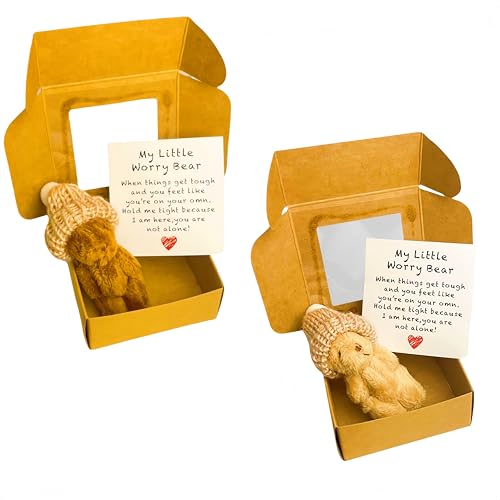 Mini-Plüsch-Teddybär in Box, weiche, kleine Stoffpuppe, Mini-Plüschbär mit inspirierender Karte, Taschenbär-Umarmung in Einer Box für Verliebte, Geburtstag, Valentinstag (2STÜCK-5) von Generisch