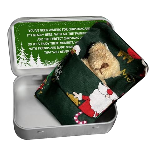 Mini -Weihnachts -Taschenbär in Einer | Tiny Bear Box Plüsch gefülltes Spielzeug | Bär mit Quilt und Karten | Entzückendes Bärengeschenk für Geburtstag Babyparty Urlaub Sammlerverzierung Mini -Weihnachts -Taschenbär in Einer | Tiny Bear Box Plüsch gefülltes Spielzeug | Bär mit Quilt und Karten | Entzückendes Bärengeschenk für Geburtstag Babyparty Urlaub Sammlerverzierung von Generisch