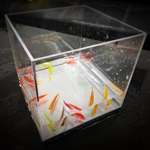 Mystic Aquarium Magic Tricks Fisch erscheint im leeren Tank Produktion Magic Stage Street Illusions Gimmicks Mentalismus Requisiten (groß) von Generisch