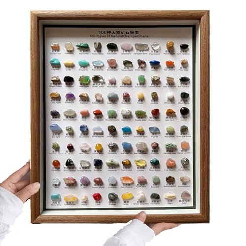 Neue 100 Arten von natürlichen Erz-Proben Urlaub, natürliche Mineral-Erz-Proben-Kit mit Box, pädagogische polierte Natursteine, Rock Mineral Collection Geologie Kristalle(100 Arten) von Generisch