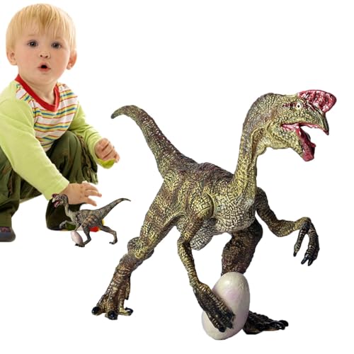 Oviraptor Dinosaurier-Modellspielzeug – Realistische -Figur | Oviraptorosaurier Spielzeug, Partydekoration und Sammelfigur für Kinder Oviraptor Dinosaurier-Modellspielzeug – Realistische -Figur | Oviraptorosaurier Spielzeug, Partydekoration und Sammelfigur für Kinder von Generisch