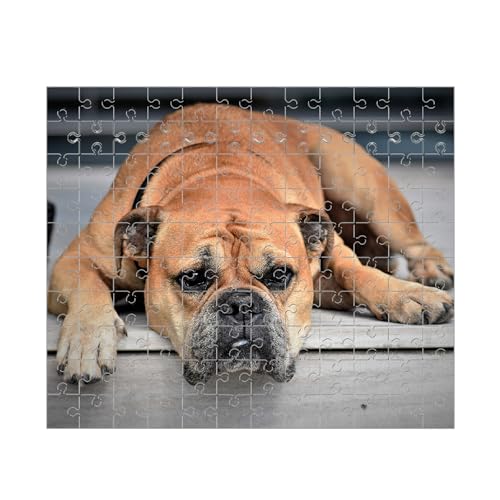 Personalisiert Puzzle,Haustier Puzzle,Fotopuzzle mit Eigenem Haustier Bild Text Namen,Erinnerungsfotopuzzles Für Hunde, Katzen Und Andere Haustiere - 120/500/1000 Teile (1 Bild, 120 pcs) von Generisch