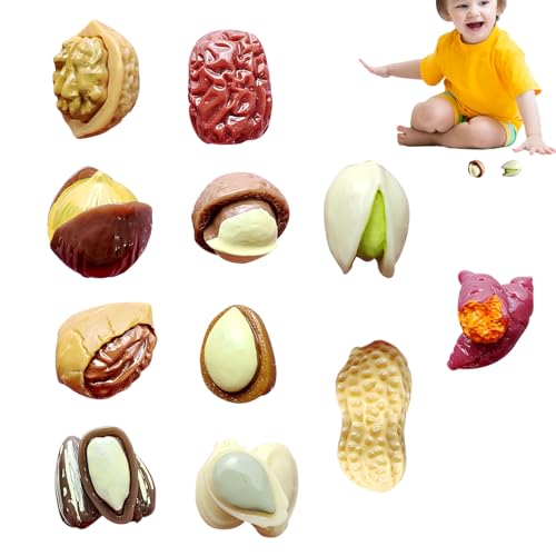 Play House Food,Simulierte Nüsse | 11 Stück realistische Jujube-Spielnahrung für Kinder,Foto-Requisite Frühes Lernspielzeug für kognitive Fähigkeiten für Klassenzimmer, Kinderzimmer, Party Play House Food,Simulierte Nüsse | 11 Stück realistische Jujube-Spielnahrung für Kinder,Foto-Requisite Frühes Lernspielzeug für kognitive Fähigkeiten für Klassenzimmer, Kinderzimmer, Party von Generisch