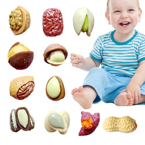 Play House Food,Simulierte Nüsse - 11 Stück simulierte Nüsse, Jujube-Lebensmittel für Kinder - Foto-Requisite Frühes Lernspielzeug für kognitive Fähigkeiten für Klassenzimmer, Kinderzimmer, Party Play House Food,Simulierte Nüsse - 11 Stück simulierte Nüsse, Jujube-Lebensmittel für Kinder - Foto-Requisite Frühes Lernspielzeug für kognitive Fähigkeiten für Klassenzimmer, Kinderzimmer, Party von Generisch