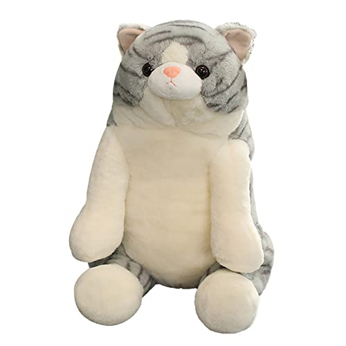 Plüschtier 30 cm Süße fette Katze kleine Faule Katze Plüschpuppe geeignet als Geburtstagsgeschenk schöne Plüschpuppe für Freunde Klassenkameraden Plüschfigur (Grey, One Size) von Generisch