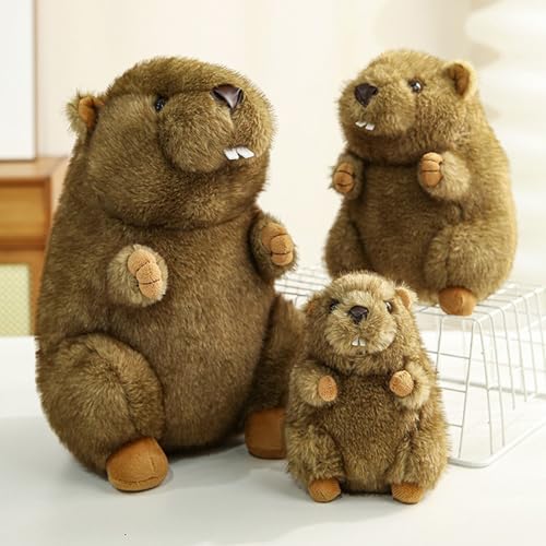 Plüschtiere | Kuscheltiere,Niedliche Plüschpuppen und kuschelige Kissen für Kleinkinder Mädchen und als Geschenk für Valentinstag Geburtstag Weihnachten von Generisch