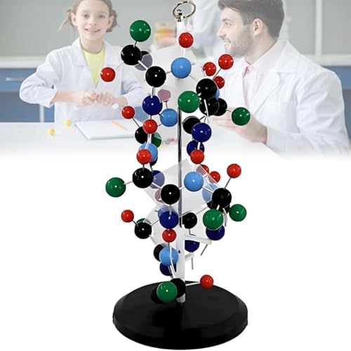 Protein DNA Double Helix Molekulares Modell, PVC-Material für Biologie, Wissenschaft, Bildung und visuelle Lehrhilfe Protein DNA Double Helix Molekulares Modell, PVC-Material für Biologie, Wissenschaft, Bildung und visuelle Lehrhilfe von Generisch