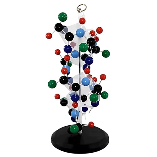 Proteinstruktur-Lehrmodell, Doppelhelix & sphärisches Molekularmodell für Biologie, Anatomie, Bildung und Forschung Proteinstruktur-Lehrmodell, Doppelhelix & sphärisches Molekularmodell für Biologie, Anatomie, Bildung und Forschung von Generisch