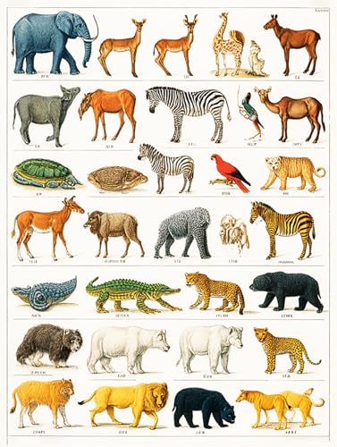 Puzzle 1000 Teile Erwachsene, Klassische Puzzles, Illustrationen zur Tierwelt – Nashörner, Wale, Tiger, Löwen usw, Farbenfrohes Legespiel, Geschicklichkeitsspiel für die ganze Familie (F, 1500 PCS) von Generisch