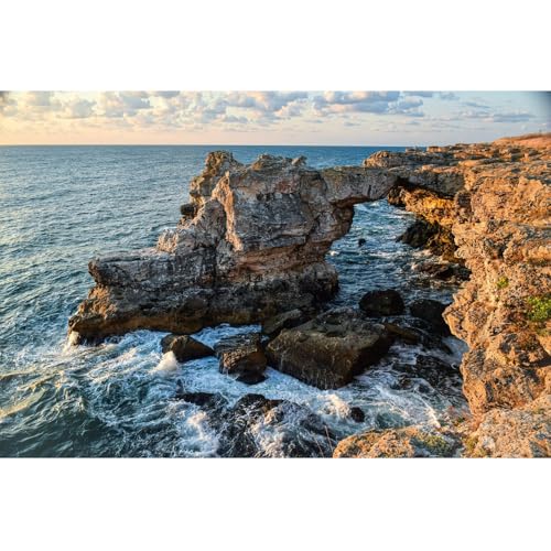 Puzzle 1000 Teile für Erwachsene-Riff am Meer-Farbenfrohes Legespiel, Pädagogisches Spiel Herausforderung Spielzeug, Impossible Geschicklichkeitsspiel für die Ganze Familie von Generisch
