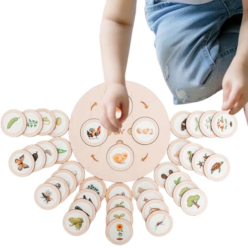 Puzzle-Set des Lebenszyklus | Kinder Life Cycle Vay | Holzpuzzle, passende Tierzahlen, Unterhaltungsoption Geschenk Spielzeug für das Schulprojekt Puzzle-Set des Lebenszyklus | Kinder Life Cycle Vay | Holzpuzzle, passende Tierzahlen, Unterhaltungsoption Geschenk Spielzeug für das Schulprojekt von Generisch