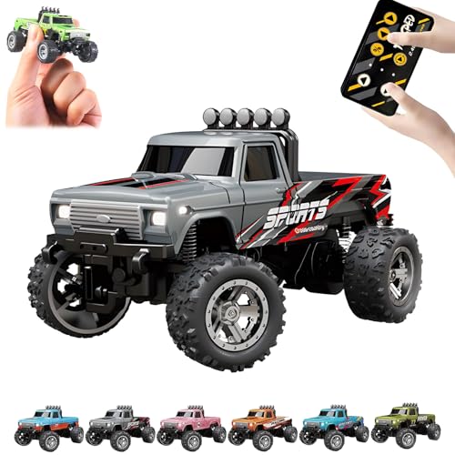 RipRush Mini Monster 1:64 Off-Road LED Alloy Racer, 2025 New 3-Speed Variable Speed Off-Road Vehicle with LED and Remote Control, Unleash Adventure, Build Skills (Gray,#A) von Generisch