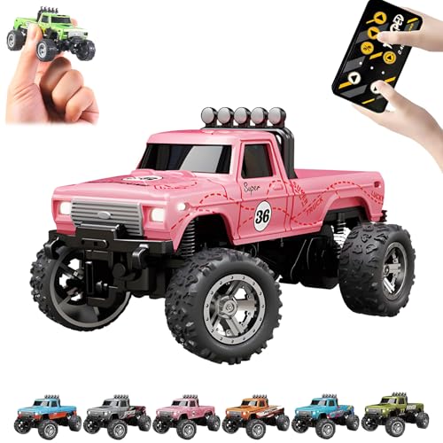 RipRush Mini Monster 1:64 Off-Road LED Alloy Racer, 2025 New 3-Speed Variable Speed Off-Road Vehicle with LED and Remote Control, Unleash Adventure, Build Skills (Pink,#A) von Generisch