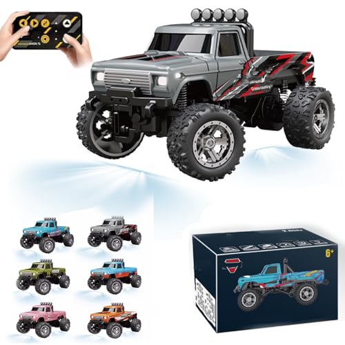 RipRush Mini Monster 1:64 Off-Road LED Alloy Racer, 360° Flip Rip Rush Alloy Racer, 2025 New 3-Speed Variable Speed Off-Road Vehicle, 3-Speed Modes, 2.4GHz Racing System (Gift BoxA,Gray) von Generisch