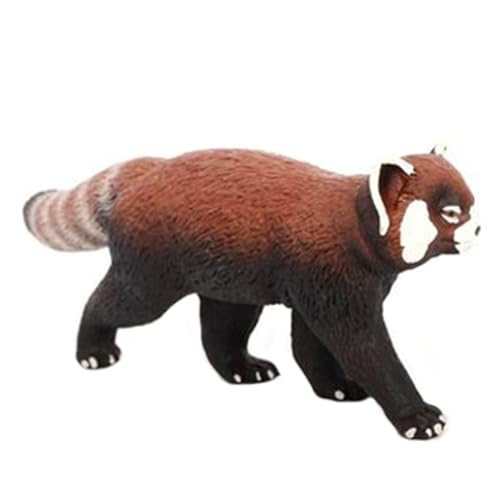 Rote Panda kleine Figur, rote Panda -Figur - PVC -Modell Abbildung Miniatur Red Panda,Realistische Sammler -Miniatur -Bastel -Tischplattenspielzeug für Fenster, Wohnzimmerdekoration Rote Panda kleine Figur, rote Panda -Figur - PVC -Modell Abbildung Miniatur Red Panda,Realistische Sammler -Miniatur -Bastel -Tischplattenspielzeug für Fenster, Wohnzimmerdekoration von Generisch