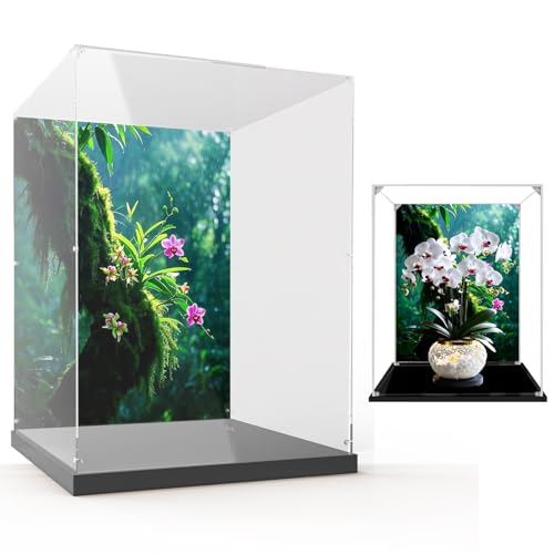 Sammlervitrinen für Lego Flowers 10311 Phalaenopsis-Orchideen, perfekt für Sammler! Geschenkidee für Erwachsene und Jugendliche Fans(Kein Modell) (Hintergrund A) von Generisch