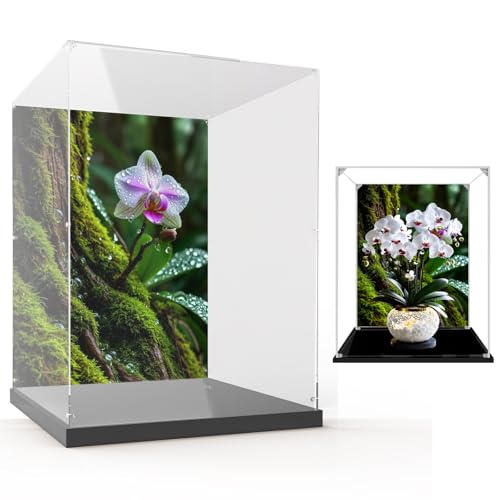 Sammlervitrinen für Lego Flowers 10311 Phalaenopsis-Orchideen, perfekt für Sammler! Geschenkidee für Erwachsene und Jugendliche Fans(Kein Modell) (Hintergrund B) von Generisch